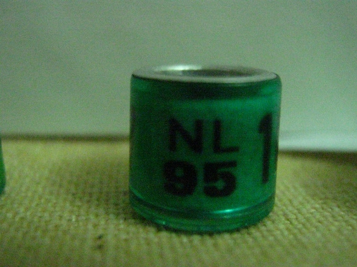 NL 95 - OLANDA NL