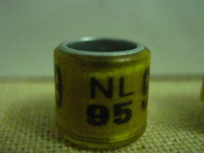 NL 95