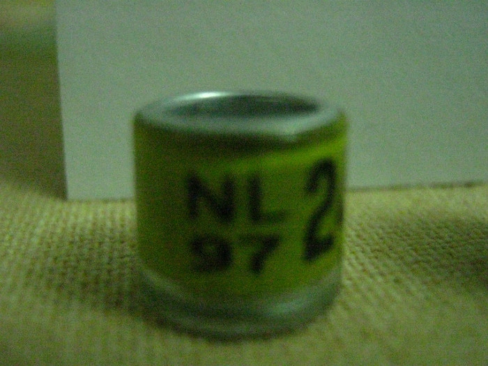 N 97