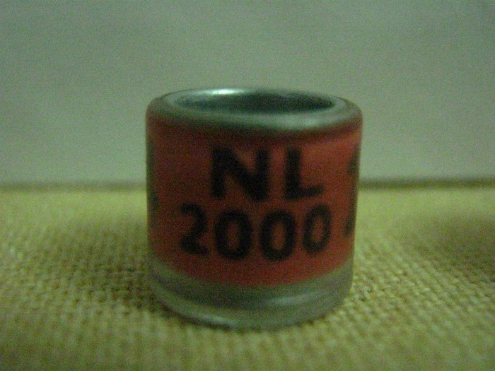 NL 2000 - OLANDA NL