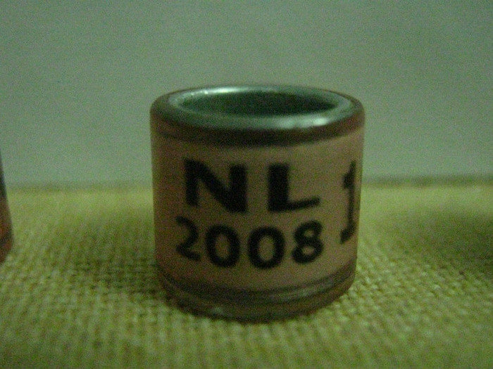 NL 2008 - OLANDA NL