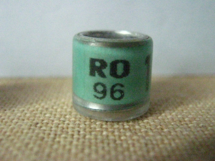 RO 96