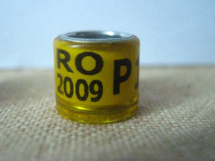 RO 2009 P