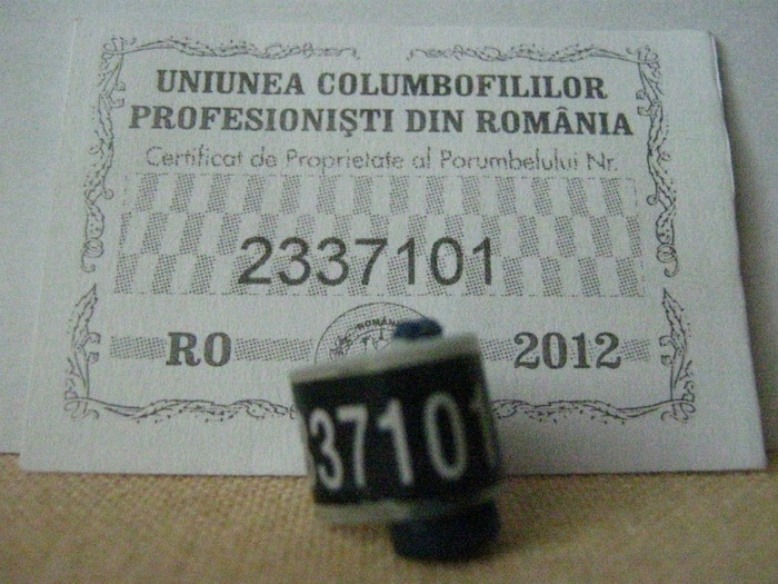 RO 2012 - COLECTIE  DE INELE   ROMANIA
