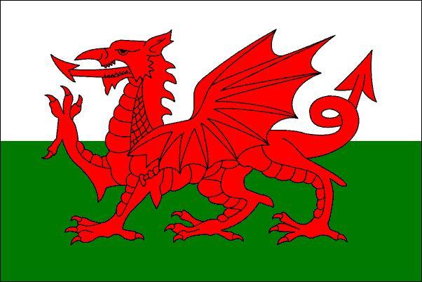 wales-flag - WALET