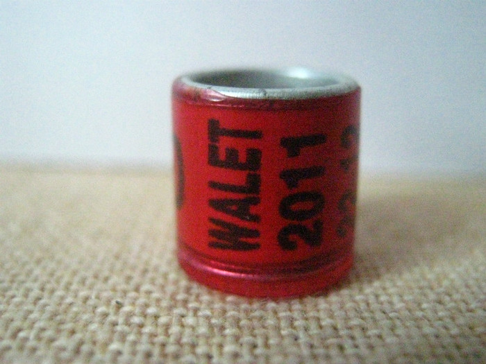 WALET  2011 - WALET