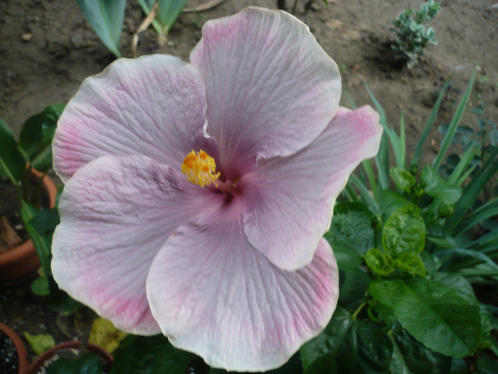 P1170149
