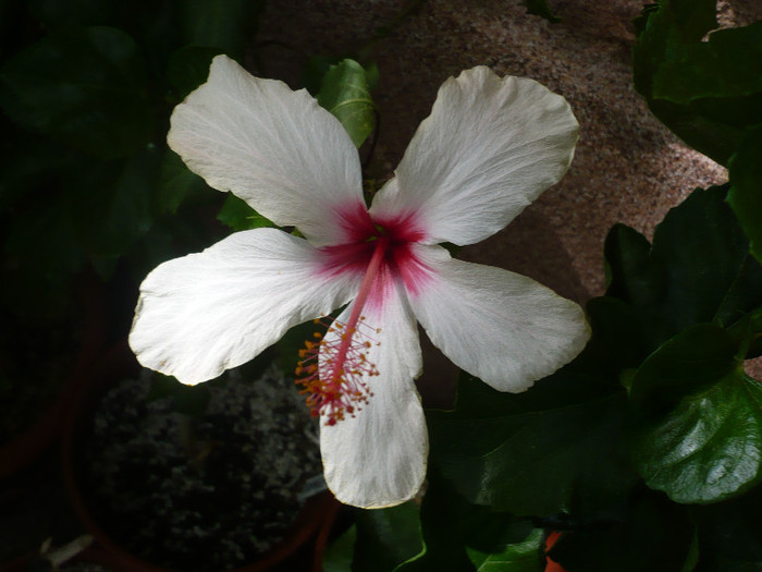 P1170161