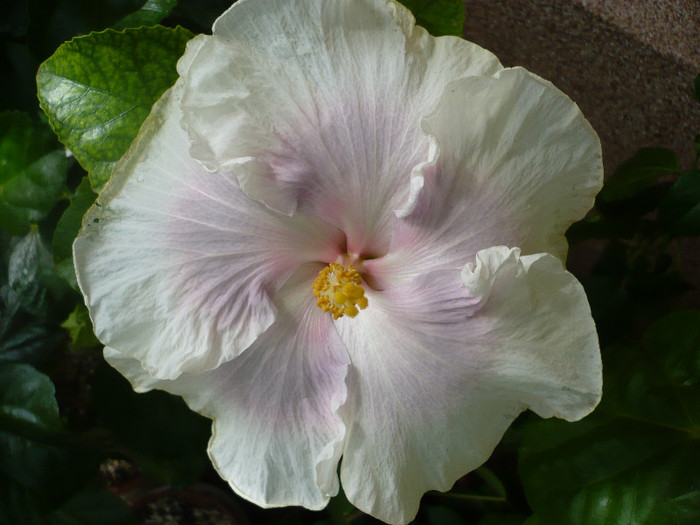 P1170162