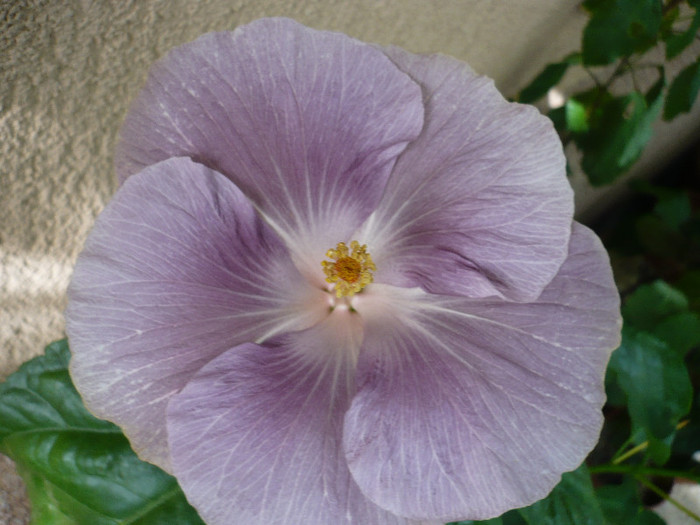 P1170165