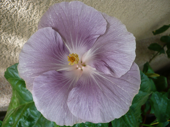 P1170166