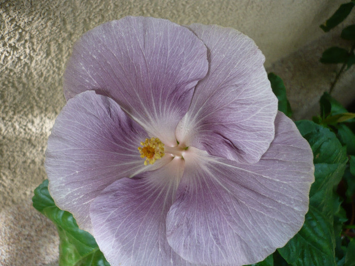 P1170167