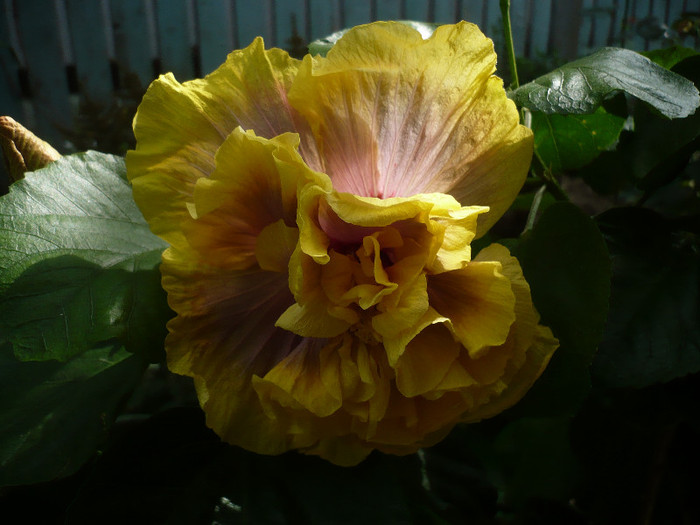 P1170172