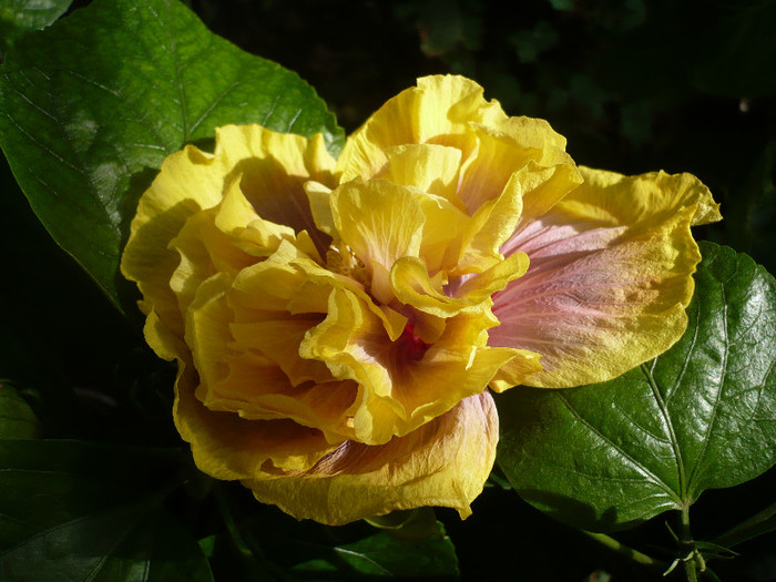P1170175