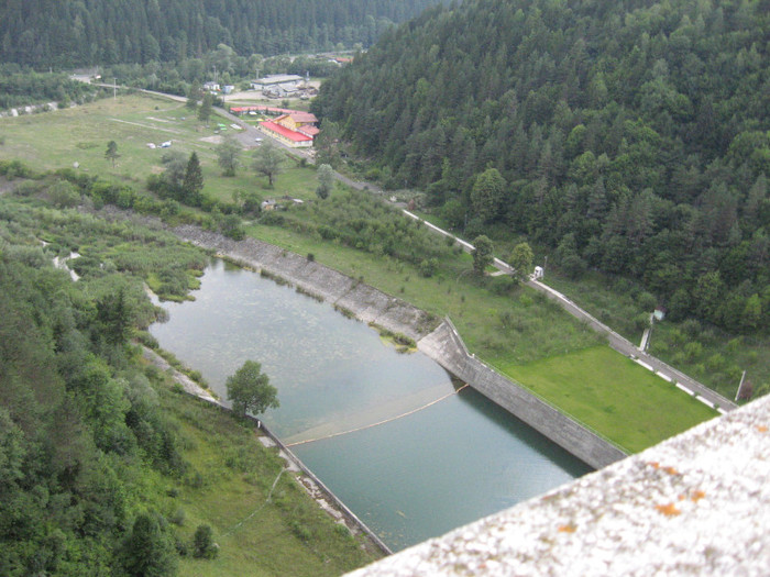 IMG_0907