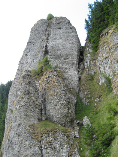 stanca lui Buda