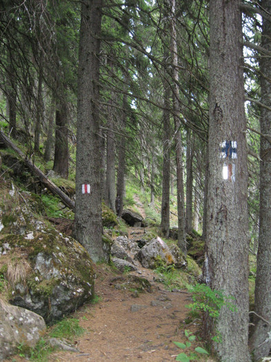 IMG_1055 - Ceahlau 1 2012