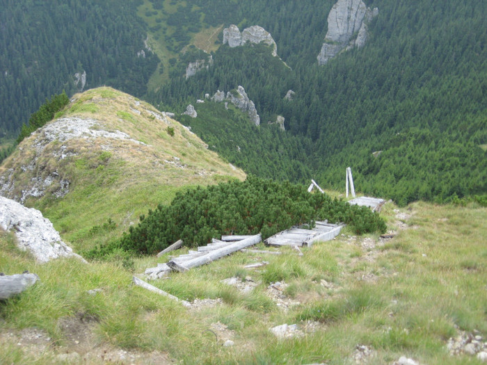 IMG_1126 - Ceahlau 1 2012