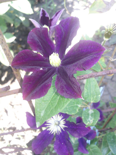 Photo0519