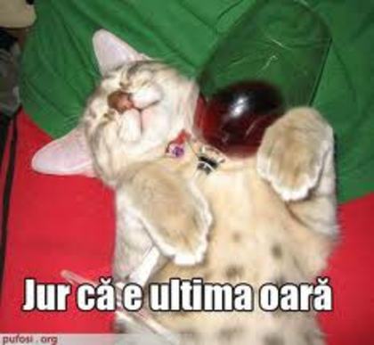 images (3)
