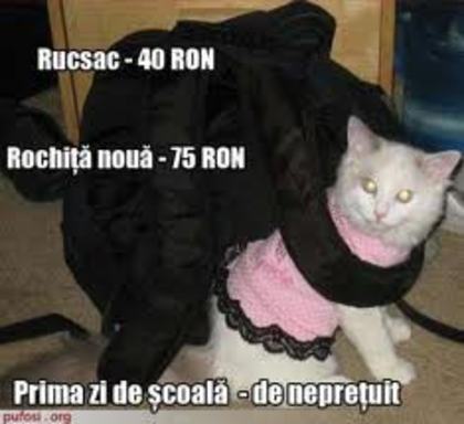 images (5)