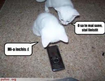 images (13)