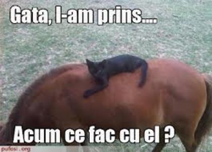 images (16)