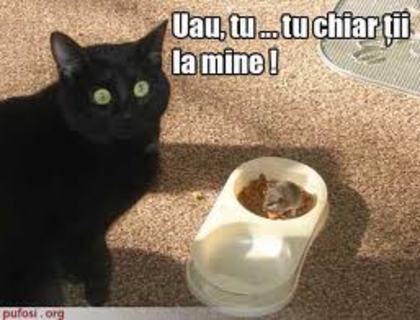 images (20)