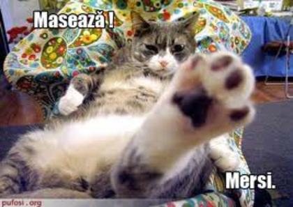images (23)