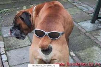 images (24)