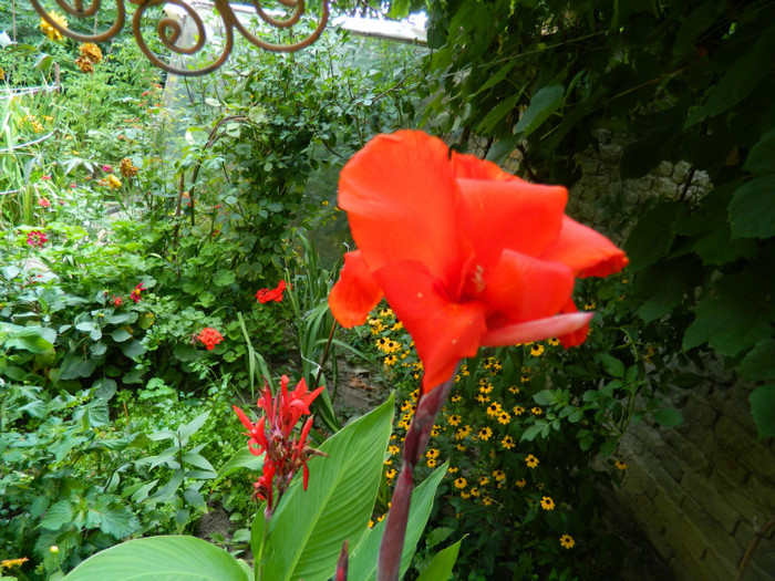 DSCN7981 - August 2012