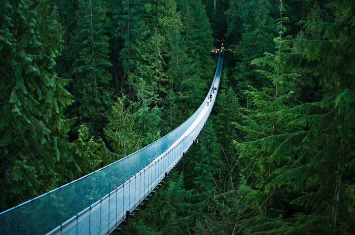 38. Podul Capilano - Vancouver - Frumusetea lunii - surprinsa in 50 de imagini
