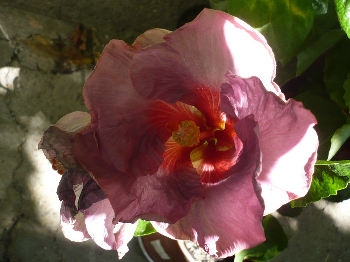 P1170200
