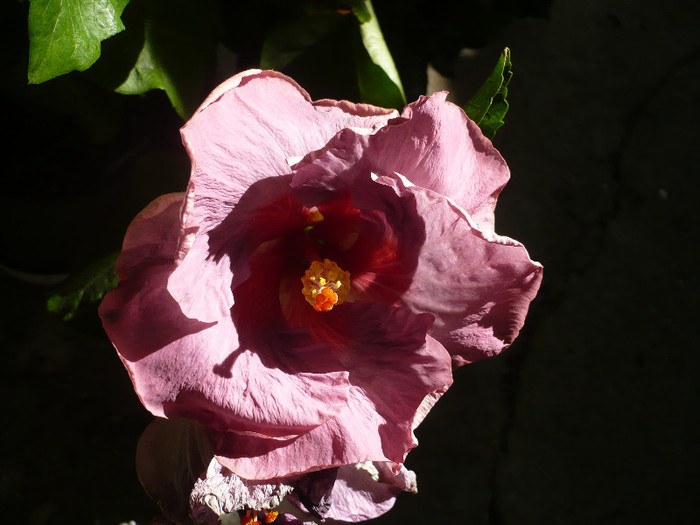 P1170201