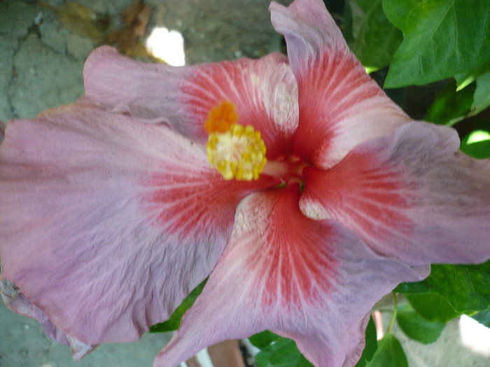 P1170202