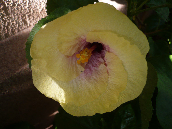 P1170226