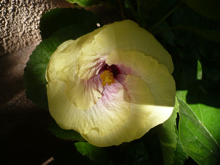 P1170227