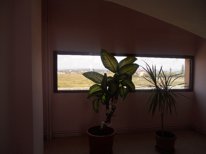 DSCN2739 - Ploiesti poze