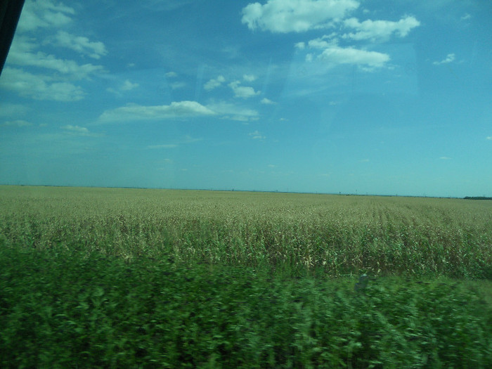 DSCN2749 - Ploiesti poze