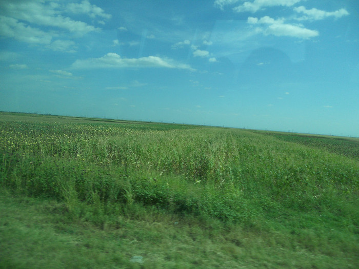 DSCN2751 - Ploiesti poze