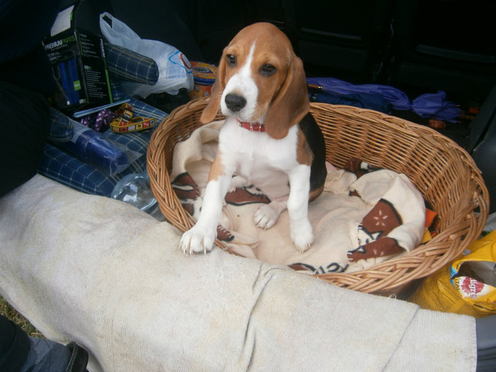 P8120157 - PIATA MONOR AUGUST 2012