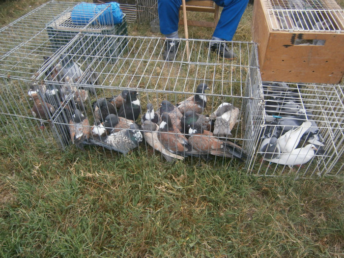 P8120162 - PIATA MONOR AUGUST 2012