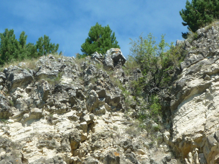 P1020852 - Dealul Istrita