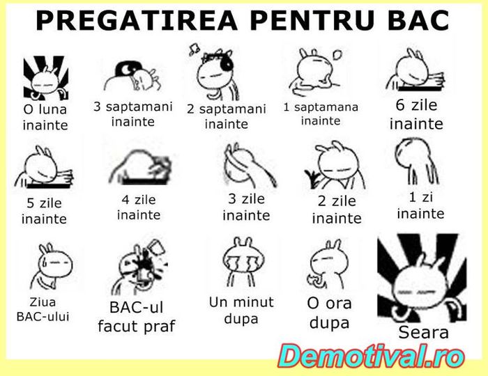 Pregatirea-pentru-bac