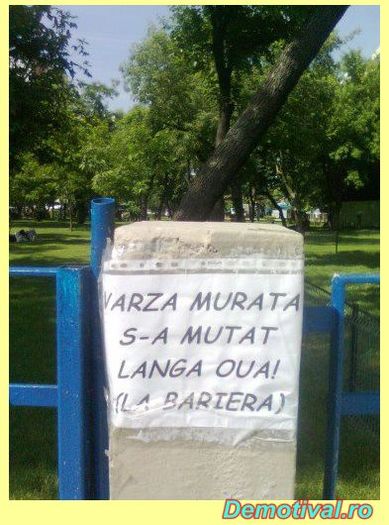 Anuntul-de-pe-stalp