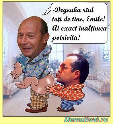 Boc-pupincurici