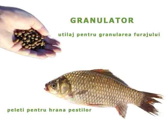 hrana_granulata_pesti - Utilaj pentru granularea furajelor