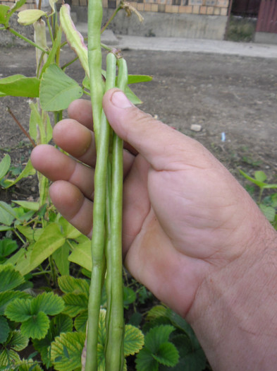 SAM_0649 - 0000 CONTACTE