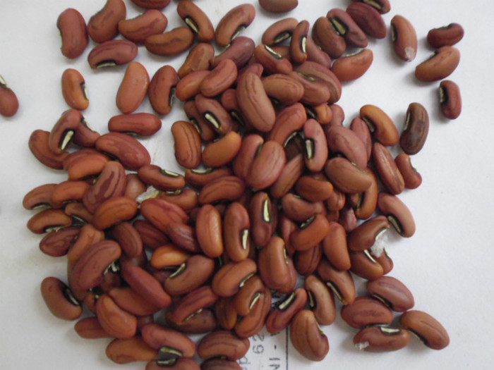 SAM_0654 - 0000 CONTACTE