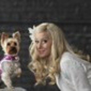 sharpays-fabulous-adventure-984648l-thumbnail_gallery sharpays-fabulous-adventure-984648l-thumbnail_gallery